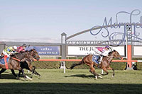 I'MLOVIN'YA BRILLIANT IN THE REDLEVA..